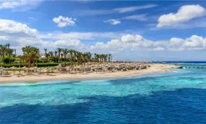 Plaża w Marsa Alam z rzędem parasoli, palmami i turkusową wodą Morza Czerwonego.