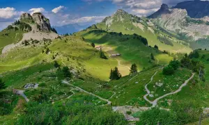 Stary Sącz: Atrakcje, historia i natura. Planuj idealną wycieczkę!
