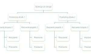 Schemat przedstawia strukturę organizacyjną firmy: Dyrekcja, przełożeni działów, kierownicy zespołów i pracownicy.