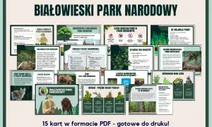 Grafika informacyjna o Białowieskim Parku Narodowym z ilustracjami zwierząt, drzew i mapą.