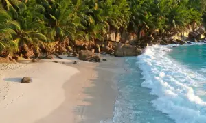 Rajska plaża na Seszelach, z palmami i turkusową wodą. Idealne miejsce na wakacje, kiedy jechać? Wiosną lub jesienią.