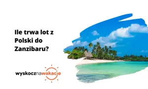 Tropikalna plaża z palmami i turkusową wodą. Pytanie: ile się leci na Zanzibar?
