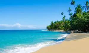Rajska plaża z palmami i turkusową wodą. Idealne miejsce na wakacje w Kostaryce.