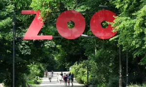 Duże czerwone litery "ZOO" nad alejką. W tle spacerują ludzie. Ile jest zoo w Polsce?