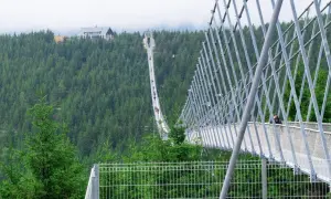 Długi, wiszący szklany most w Czechach, otoczony gęstym lasem świerkowym. Ludzie spacerują po moście, podziwiając widoki.
