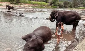 Sri Lanka: Co warto zobaczyć? Przewodnik po Perle Oceanu