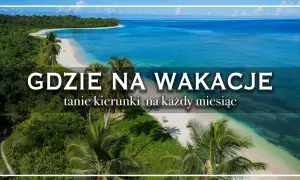 Tropikalna plaża z palmami i turkusową wodą, z napisem "Gdzie na wakacje".