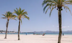 Palmy nad piaszczystą plażą Playa de Muro, błękitne morze i góry w oddali. Ludzie spacerują, ciesząc się słońcem.
