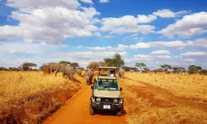 Niesamowite **Tanzania wakacje**! Safari jeepem wśród słoni na tle błękitnego nieba z chmurami.