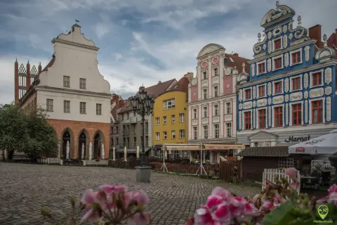 Kolorowe kamienice na Rynku Staromiejskim w Szczecinie, z brukowanym placem i kwiatami w tle.