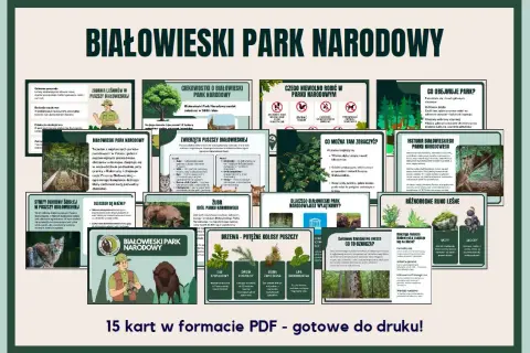 Grafika informacyjna o Białowieskim Parku Narodowym z ilustracjami zwierząt, drzew i mapą.