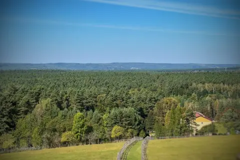 Lasy Janowskie: Przewodnik po atrakcjach. Odkryj dziką puszczę!
