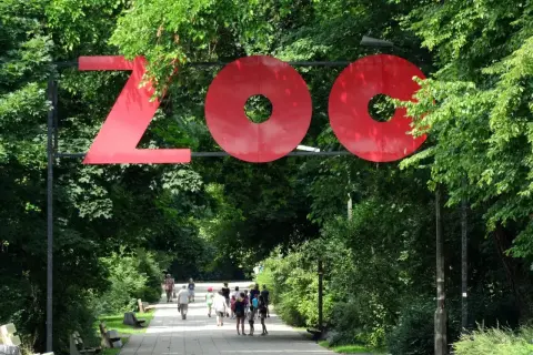 Duże czerwone litery "ZOO" nad alejką. W tle spacerują ludzie. Ile jest zoo w Polsce?