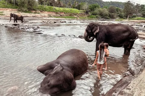 Sri Lanka: Co warto zobaczyć? Przewodnik po Perle Oceanu