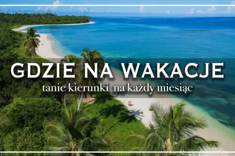 Tropikalna plaża z palmami i turkusową wodą, z napisem "Gdzie na wakacje".