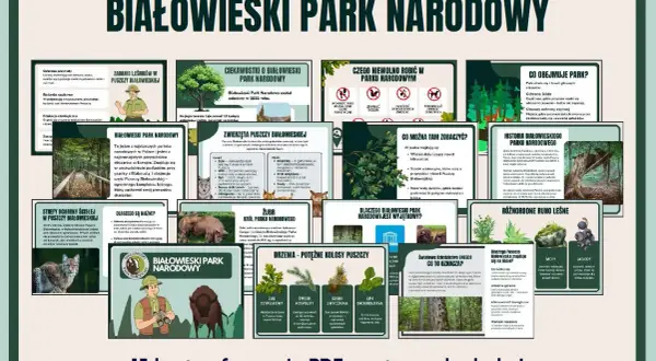 Grafika informacyjna o Białowieskim Parku Narodowym z ilustracjami zwierząt, drzew i mapą.