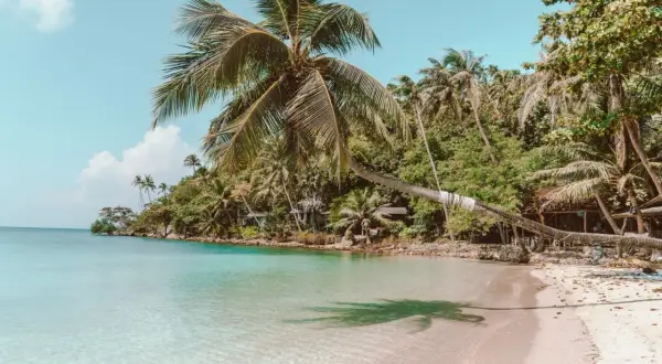 Rajska plaża z palmami i krystalicznie czystą wodą. Zastanawiasz się, ile się leci do Tajlandii, by poczuć taki spokój?