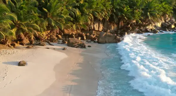 Rajska plaża na Seszelach, z palmami i turkusową wodą. Idealne miejsce na wakacje, kiedy jechać? Wiosną lub jesienią.