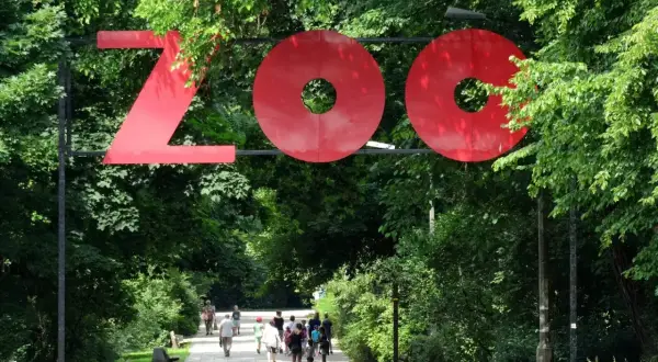 Duże czerwone litery "ZOO" nad alejką. W tle spacerują ludzie. Ile jest zoo w Polsce?