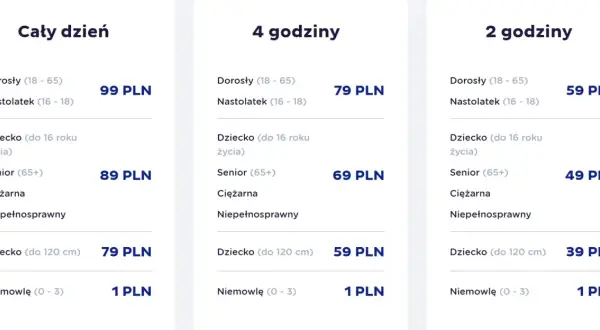 Suntago cennik rodzinny: ceny biletów całodniowych, 4-godzinnych i 2-godzinnych dla dorosłych, nastolatków, dzieci, seniorów i niemowląt.