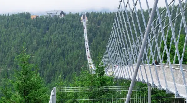 Długi, wiszący szklany most w Czechach, otoczony gęstym lasem świerkowym. Ludzie spacerują po moście, podziwiając widoki.