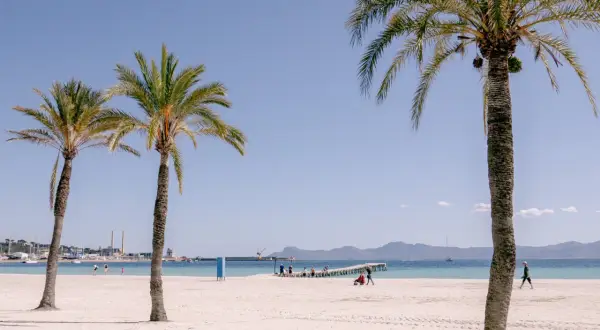 Palmy nad piaszczystą plażą Playa de Muro, błękitne morze i góry w oddali. Ludzie spacerują, ciesząc się słońcem.