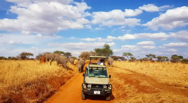 Niesamowite **Tanzania wakacje**! Safari jeepem wśród słoni na tle błękitnego nieba z chmurami.