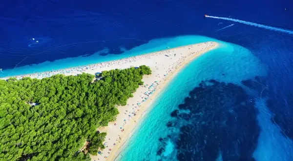Zloty Róg, jedna z najpiękniejszych plaż w Chorwacji, otoczona sosnowym lasem i krystalicznie czystą wodą.