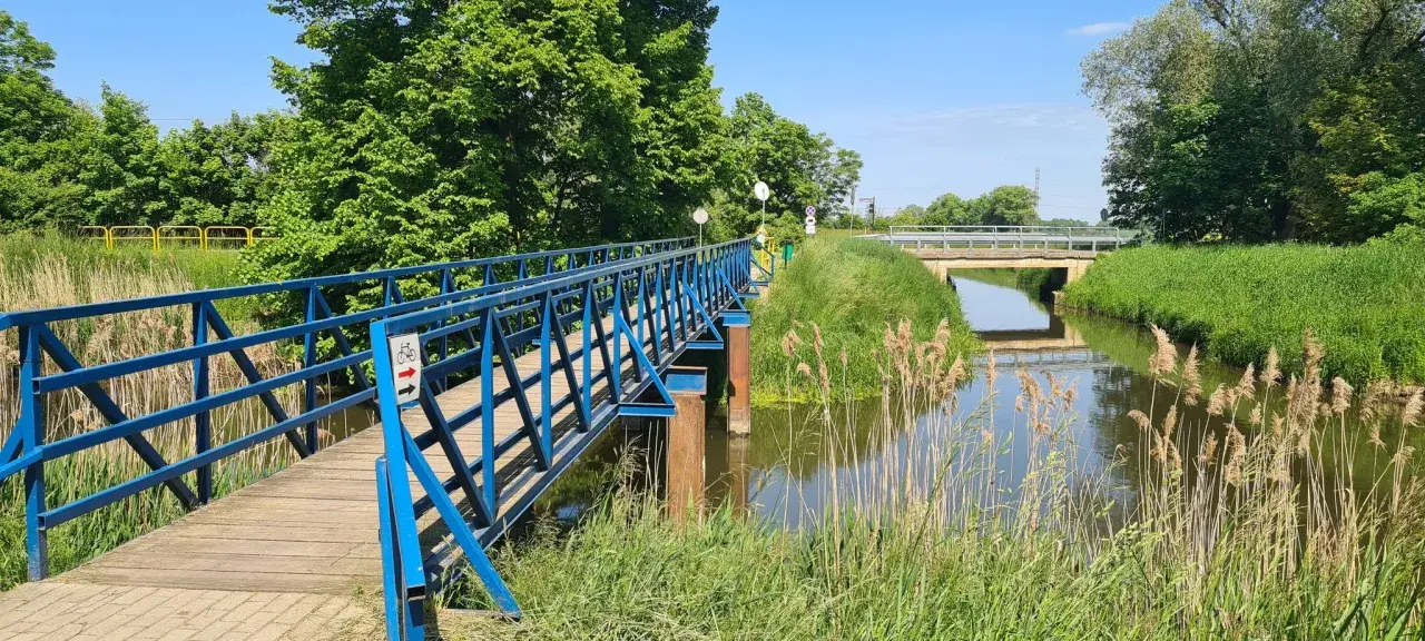Błękitny mostek dla rowerzystów i pieszych nad kanałem na Żuławach Wiślanych. W tle widać kolejny most i bujną zieleń.