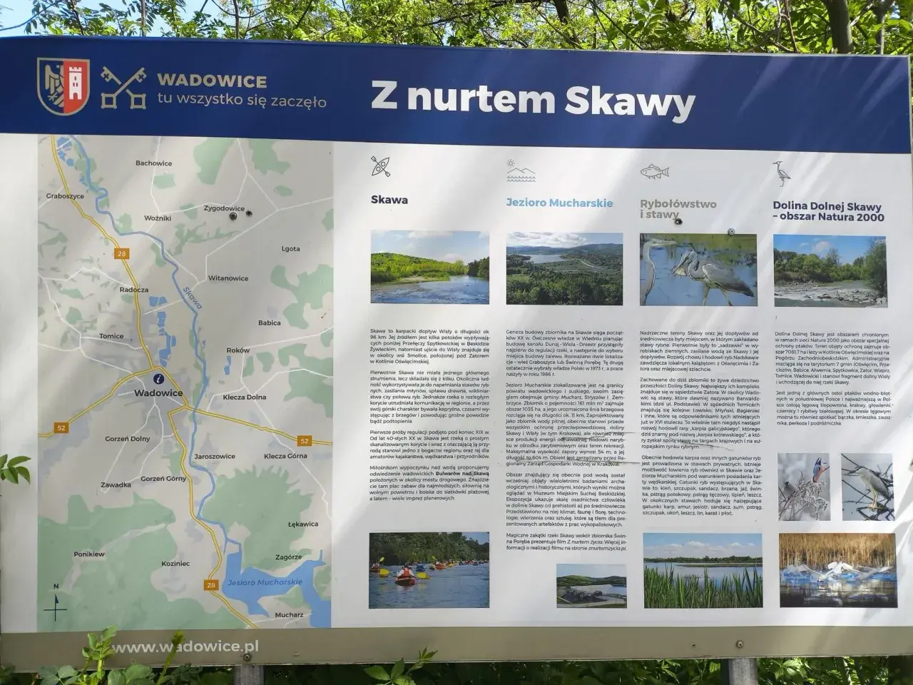 Mapa turystyczna z zaznaczoną rzeką Skawą, która przepływa przez Wadowice. Opisuje jej historię, walory przyrodnicze i rekreacyjne.