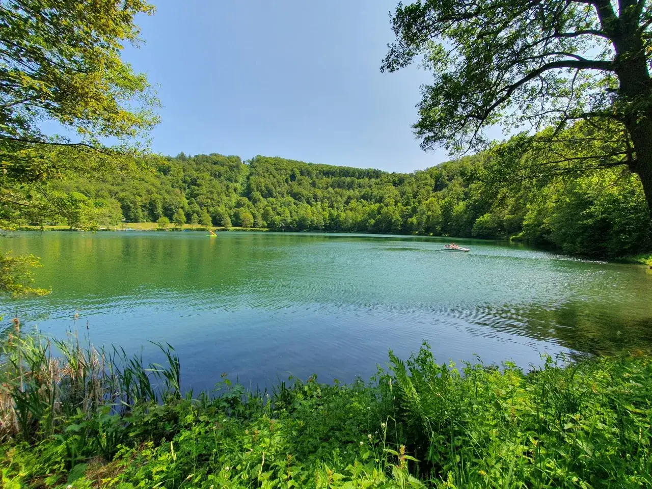 Zielone jezioro w Eifel otoczone lasem, na wodzie pływa łódka.