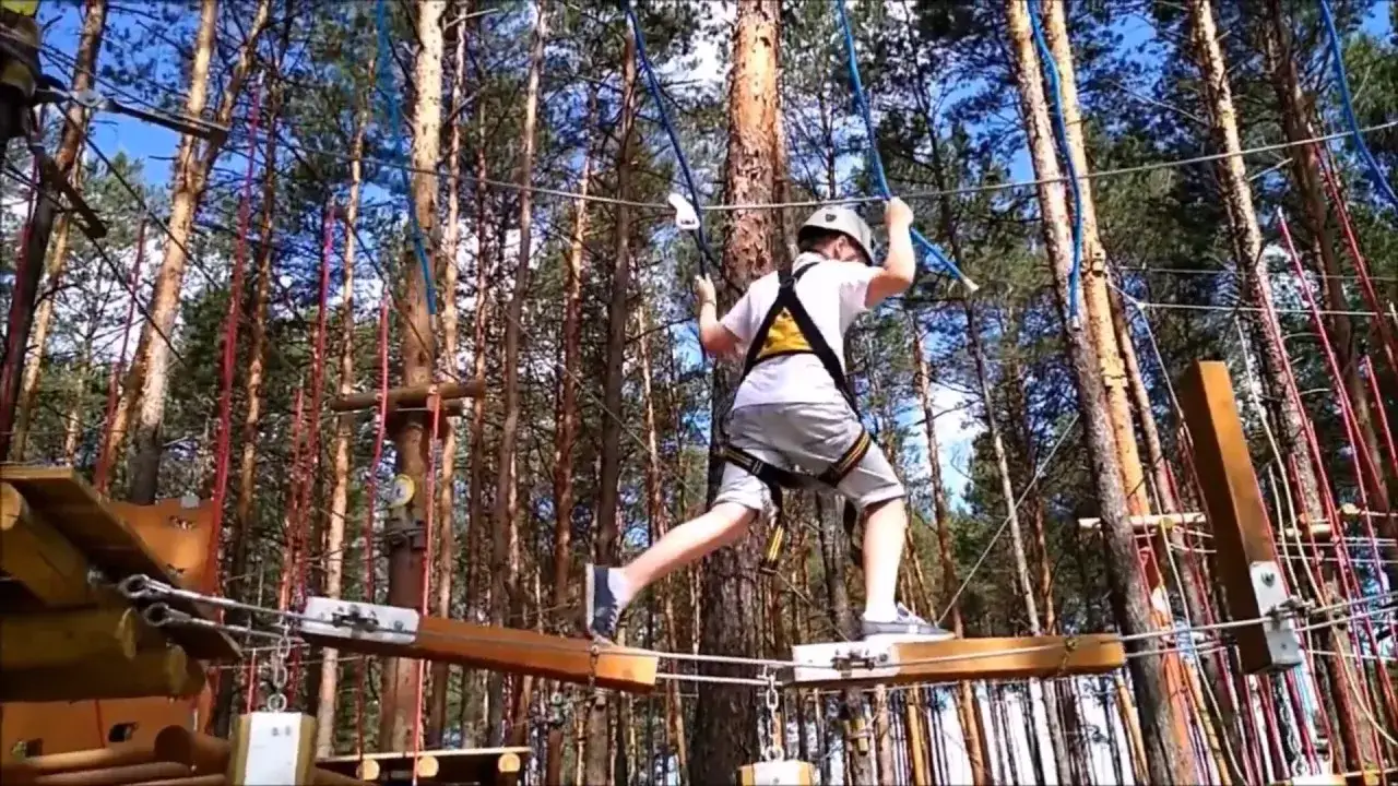 Zoom Natury Janów Lubelski park linowy