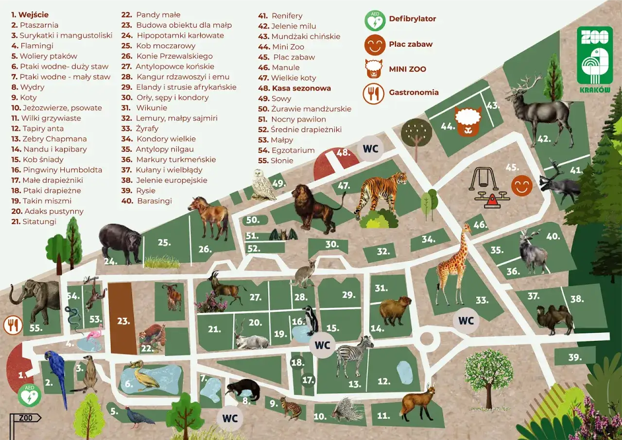 darmowe atrakcje Kraków dla dzieci