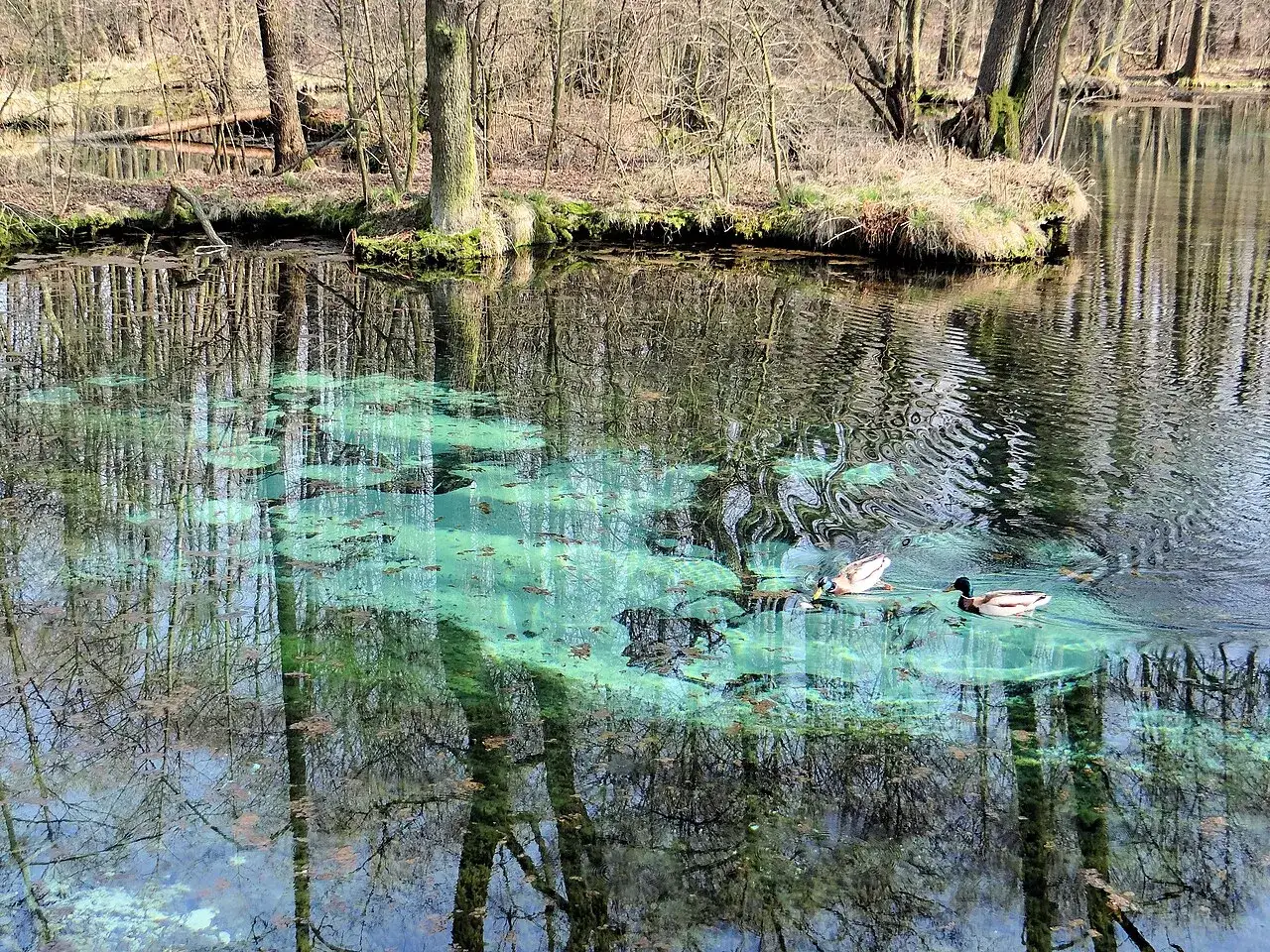 Niebieskie Źródła Tomaszów Mazowiecki