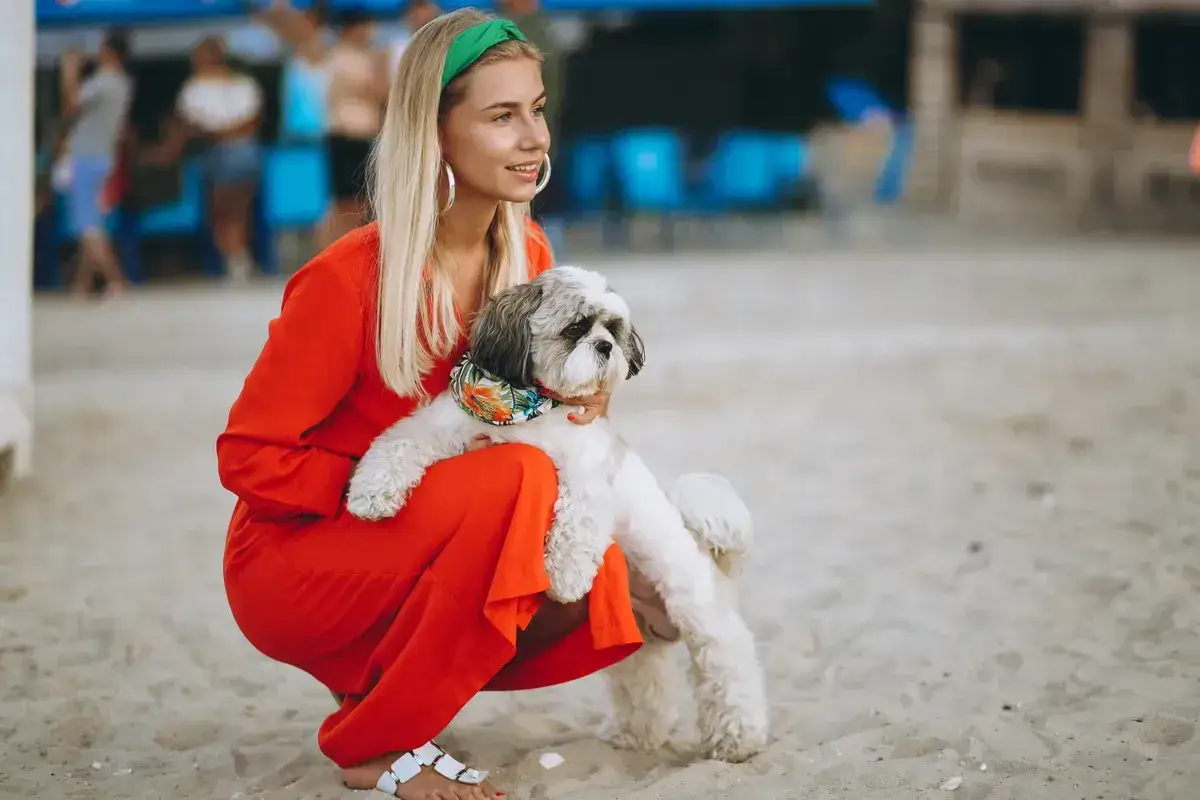 Szczęśliwe wakacje z psem na plaży. Blondynka w pomarańczowej sukience trzyma małego, puszystego pieska.