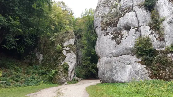 Kamieniste ścieżki wiodą przez skalne wąwozy na pogórzu, otoczone bujną zielenią i omszałymi skałami.