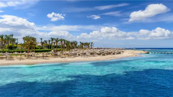 Plaża w Marsa Alam z rzędem parasoli, palmami i turkusową wodą Morza Czerwonego.