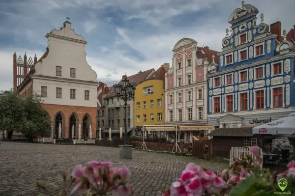 Kolorowe kamienice na Rynku Staromiejskim w Szczecinie, z brukowanym placem i kwiatami w tle.