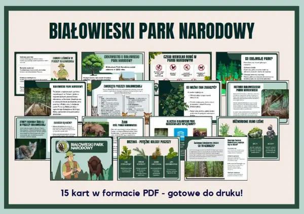 Grafika informacyjna o Białowieskim Parku Narodowym z ilustracjami zwierząt, drzew i mapą.