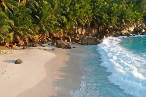 Rajska plaża na Seszelach, z palmami i turkusową wodą. Idealne miejsce na wakacje, kiedy jechać? Wiosną lub jesienią.