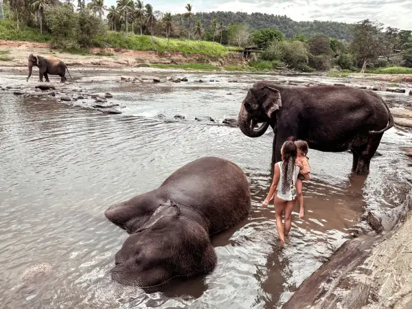 Sri Lanka: Co warto zobaczyć? Przewodnik po Perle Oceanu