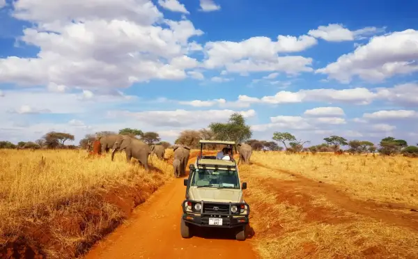Niesamowite **Tanzania wakacje**! Safari jeepem wśród słoni na tle błękitnego nieba z chmurami.